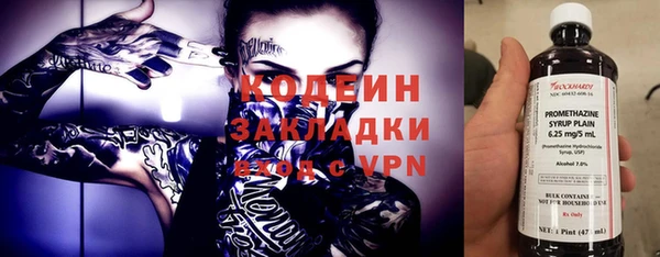 метадон Богданович